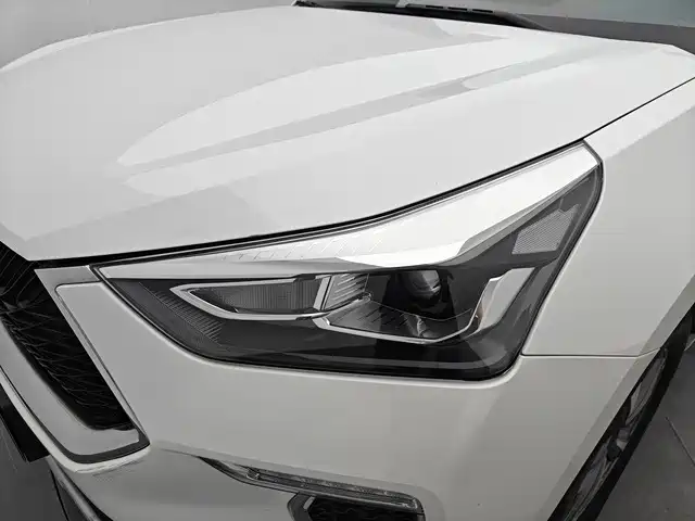 Haval H6 Coupe — фото 9