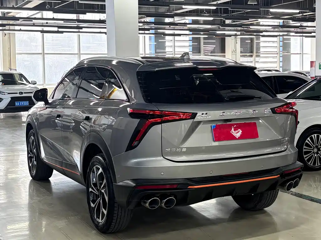 Haval Shenshou — фото 16
