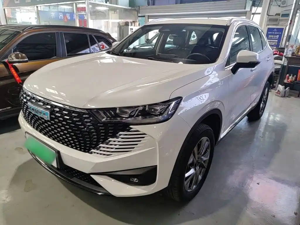 Haval H6 New Energy — фото 2