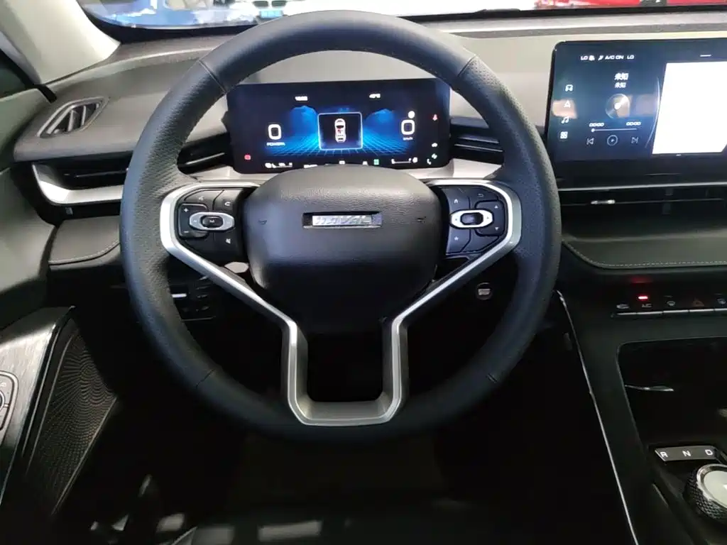 Haval H6 New Energy — фото 11