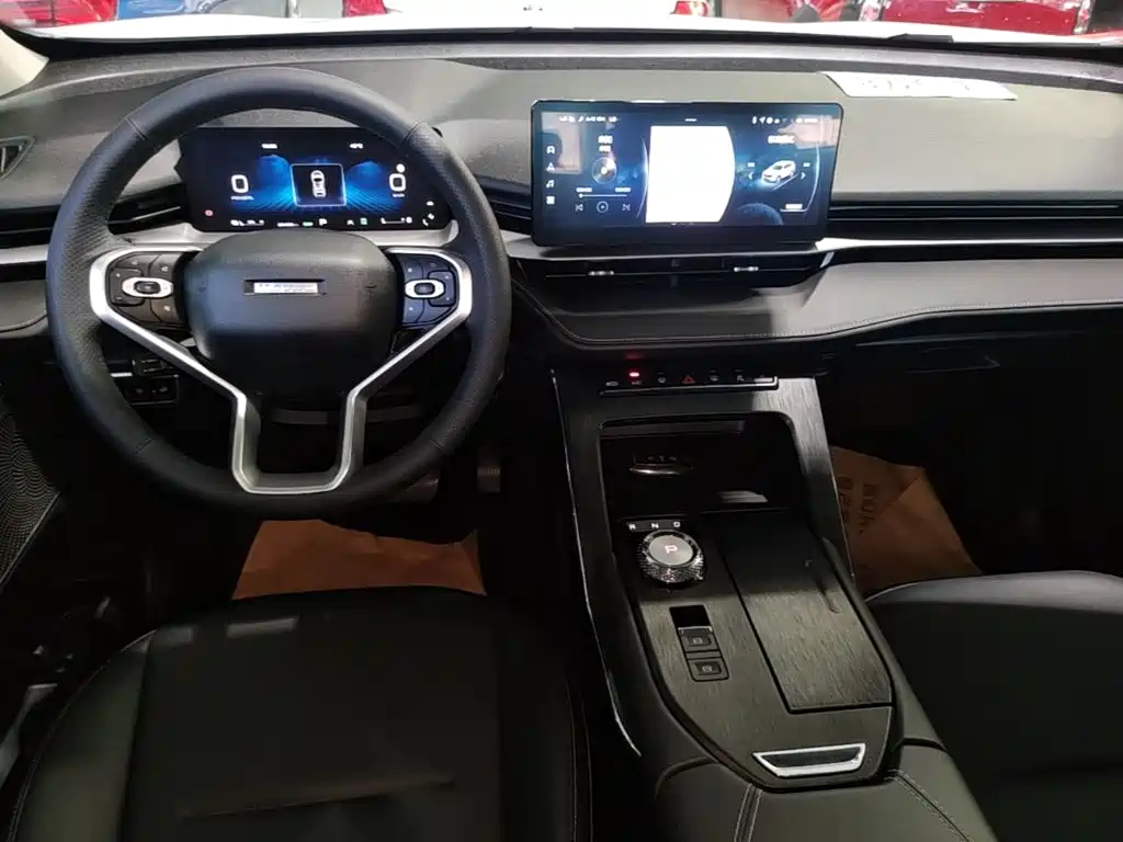 Haval H6 New Energy — фото 13