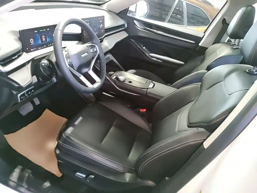 Haval H6 New Energy — фото 15