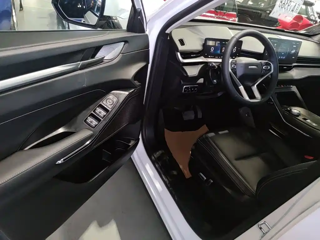 Haval H6 New Energy — фото 16