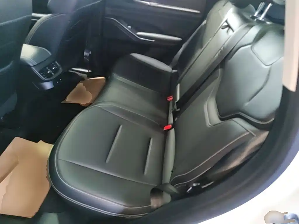 Haval H6 New Energy — фото 17