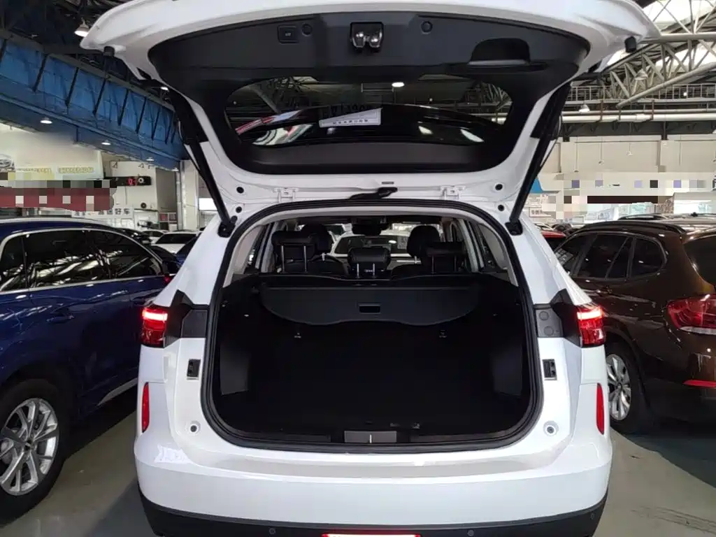 Haval H6 New Energy — фото 19