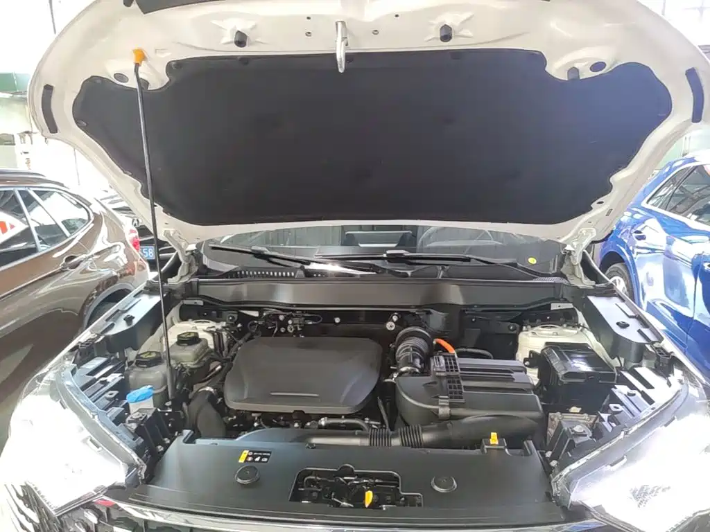 Haval H6 New Energy — фото 20