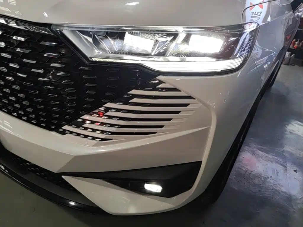 Haval H6 New Energy — фото 24
