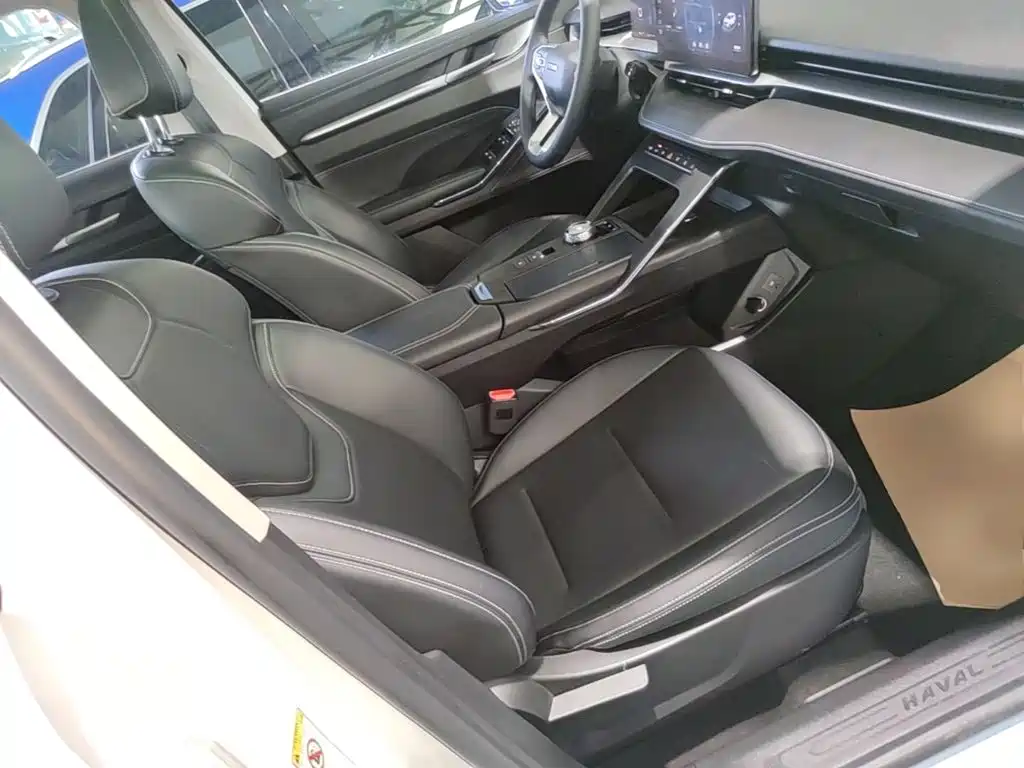 Haval H6 New Energy — фото 25
