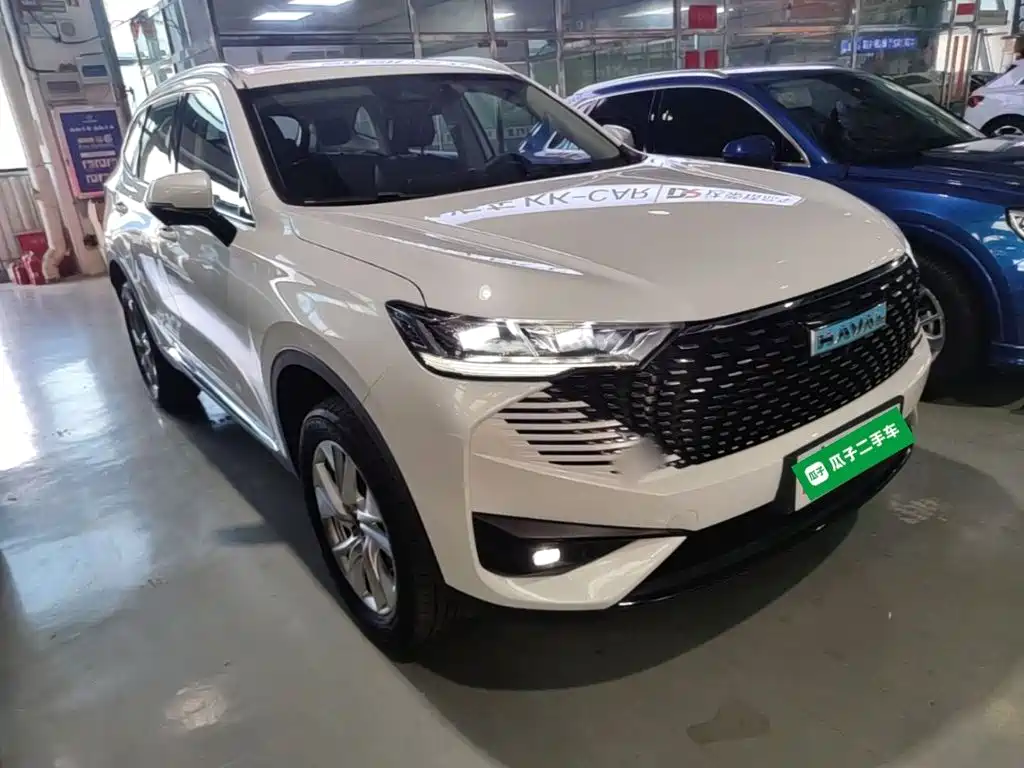 Haval H6 New Energy — фото 4