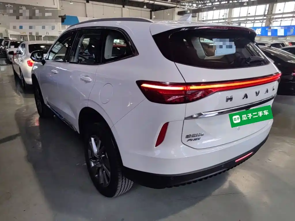 Haval H6 New Energy — фото 5