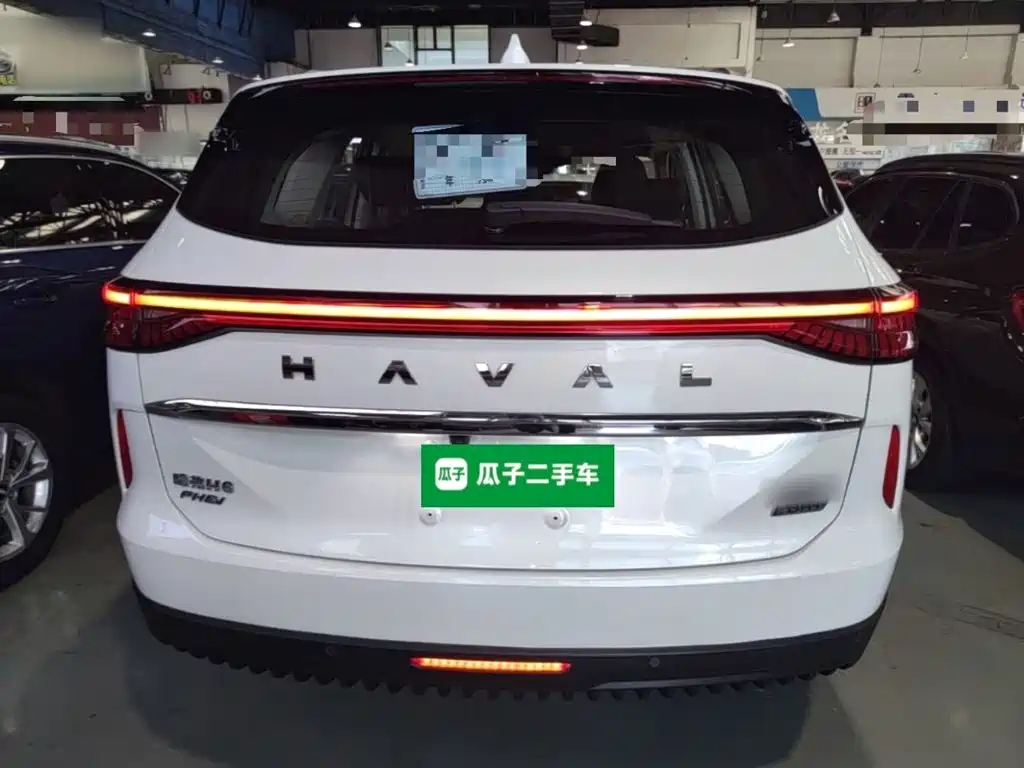 Haval H6 New Energy — фото 6