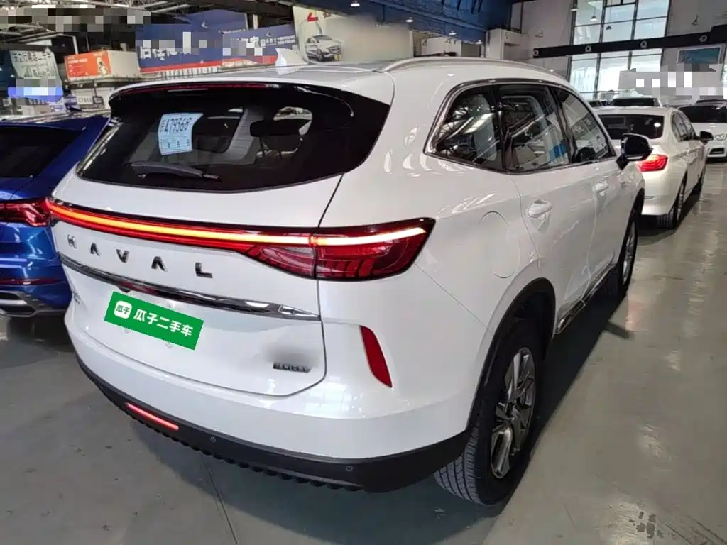 Haval H6 New Energy — фото 7