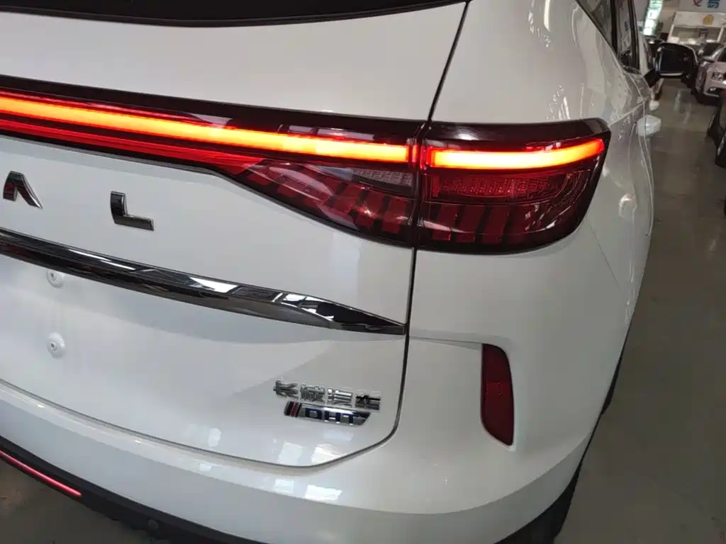 Haval H6 New Energy — фото 8
