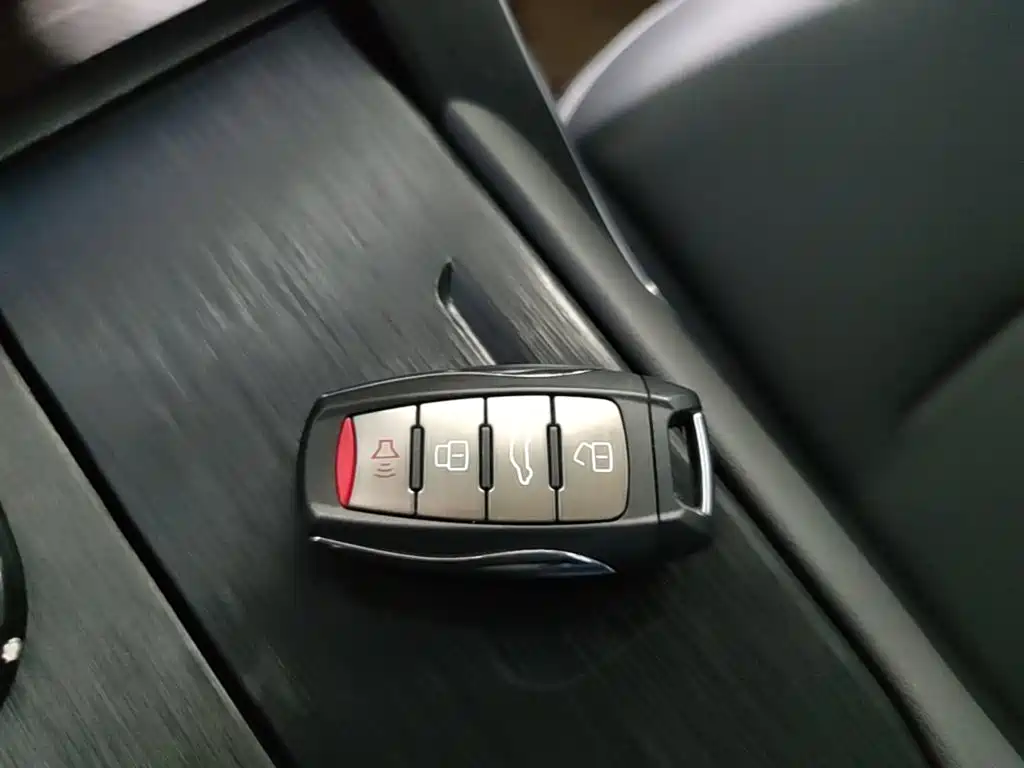 Haval H6 New Energy — фото 9