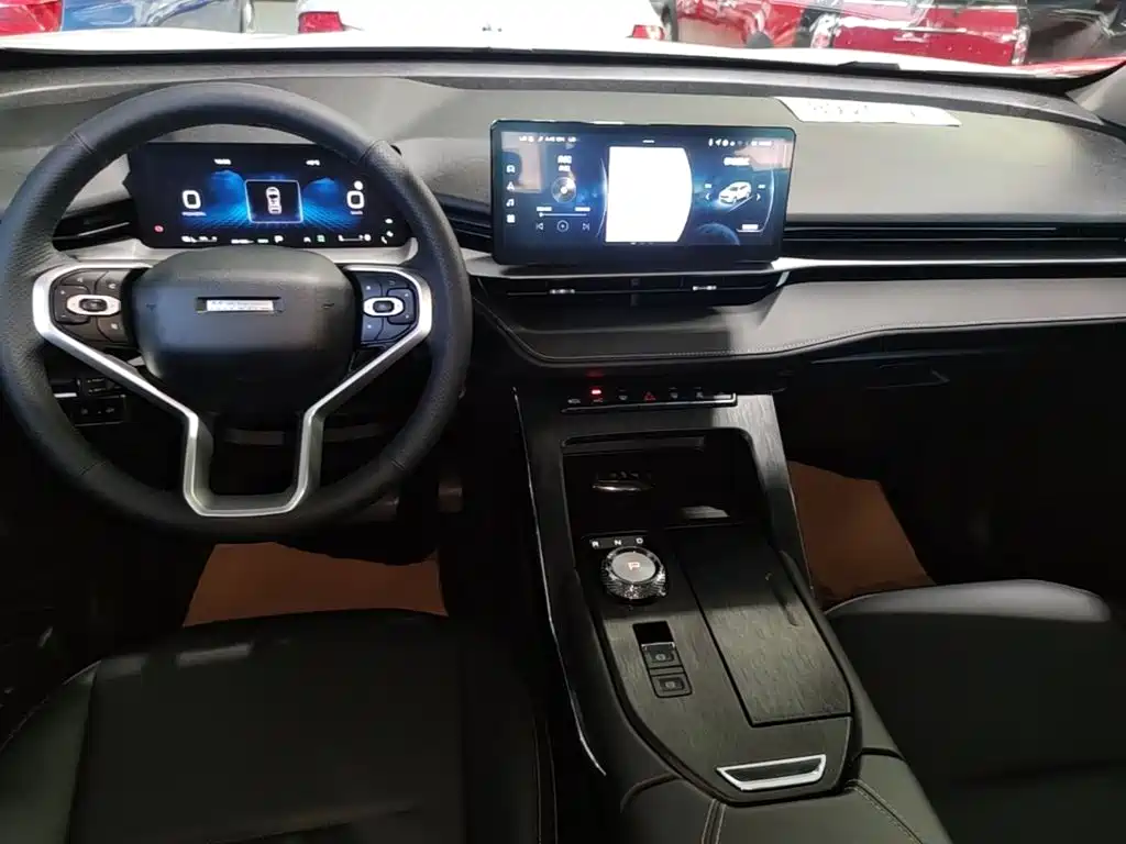Haval H6 New Energy — фото 10