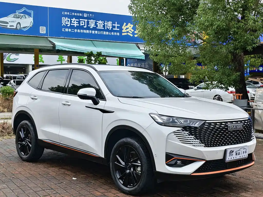 Haval H6 — фото 3