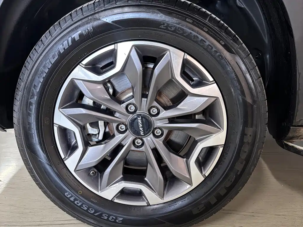 Haval Big Dog — фото 11