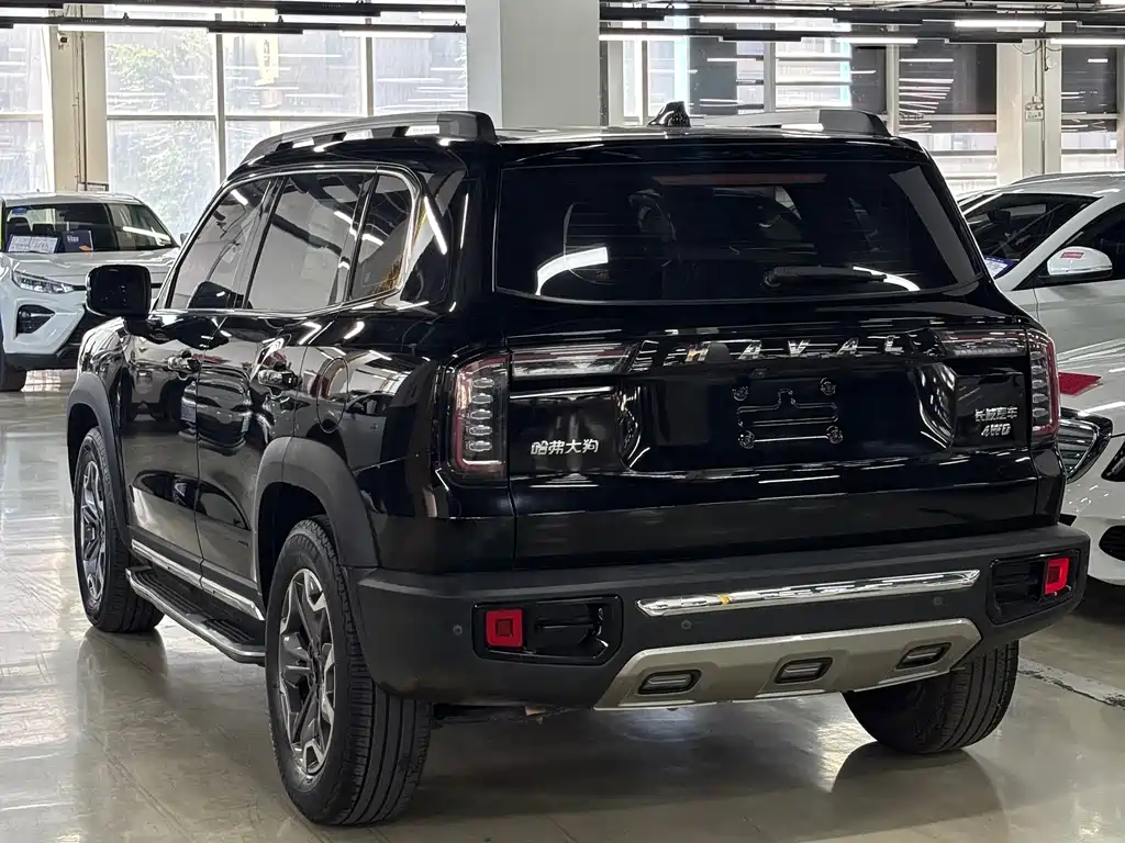 Haval Big Dog — фото 13