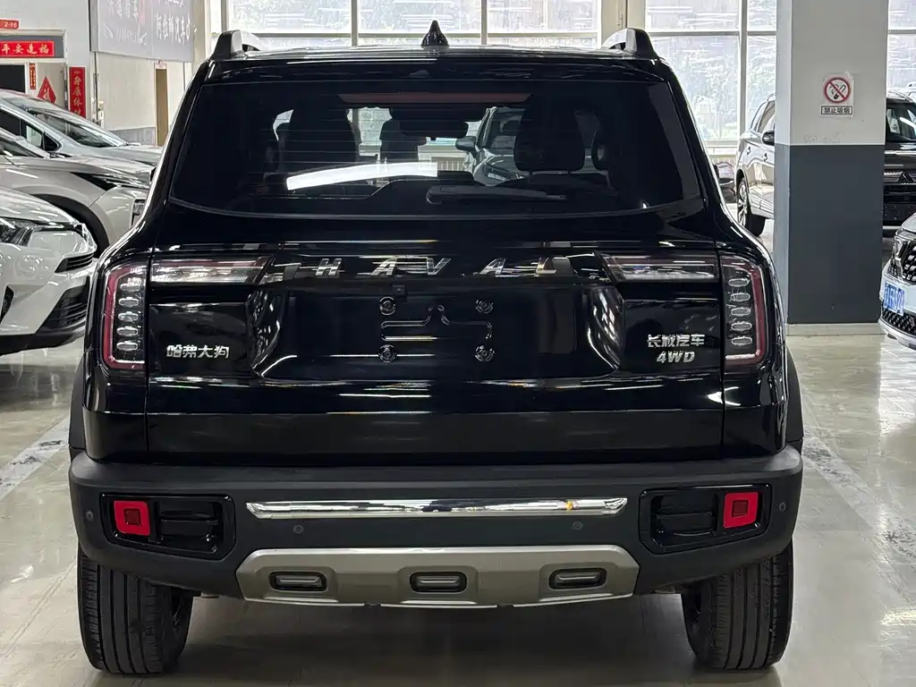 Haval Big Dog — фото 14