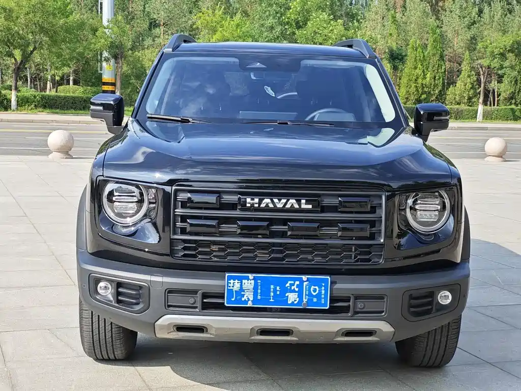 Haval Big Dog — фото 6