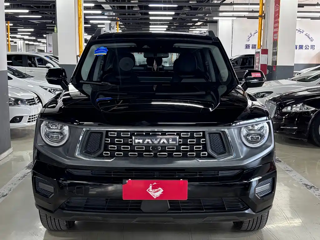 Haval Big Dog PLUS — фото 2