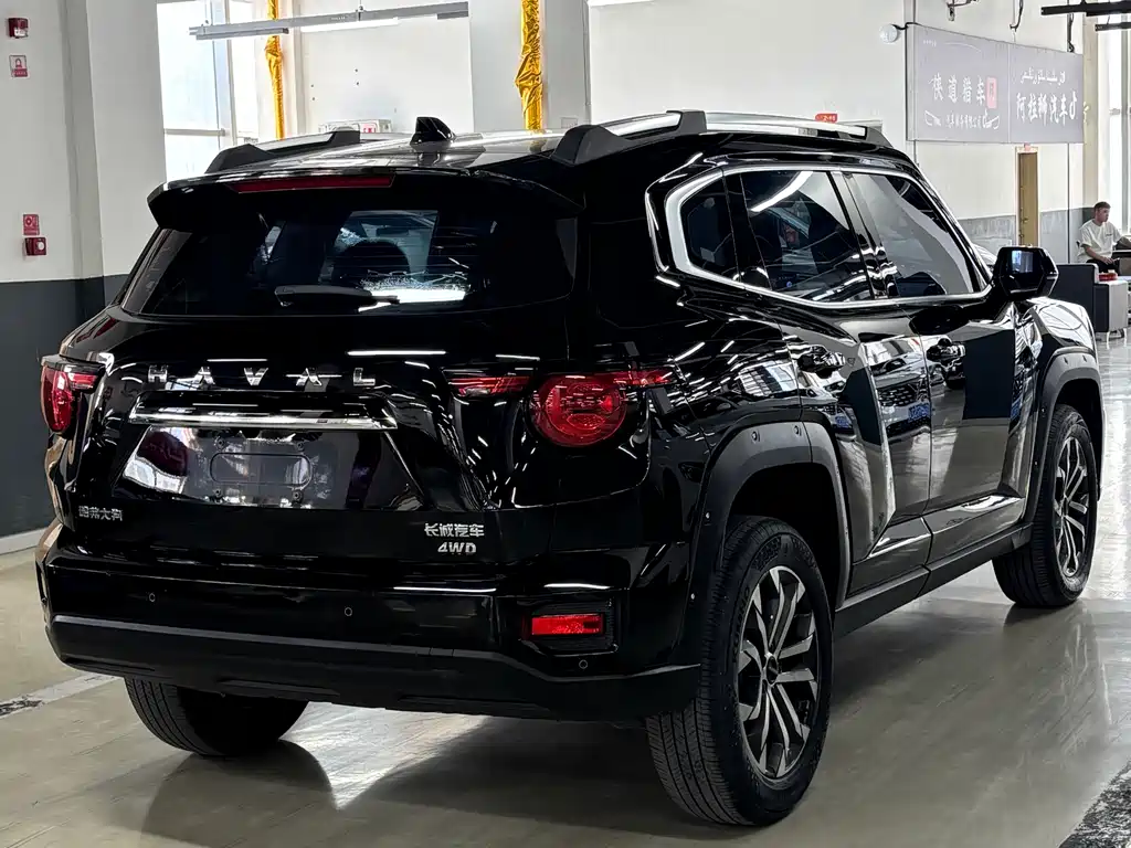 Haval Big Dog PLUS — фото 13