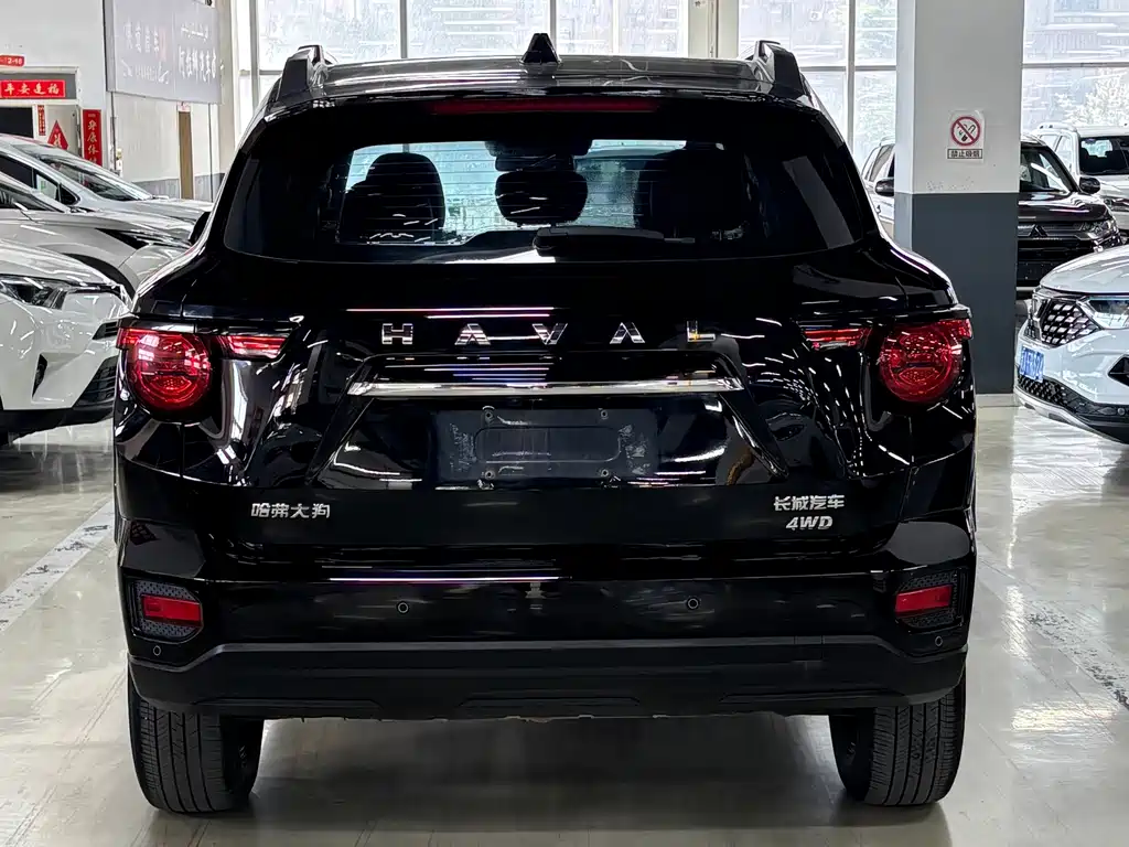 Haval Big Dog PLUS — фото 14