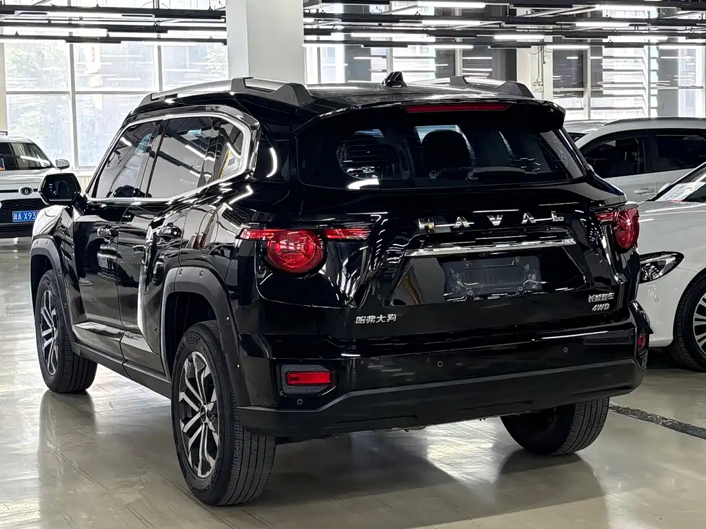 Haval Big Dog PLUS — фото 15