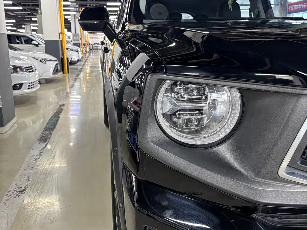 Haval Big Dog PLUS — фото 10