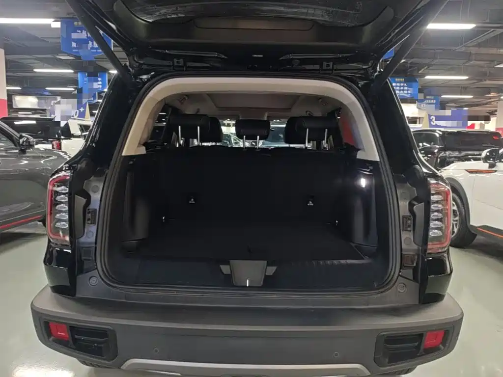 Haval Big Dog — фото 19