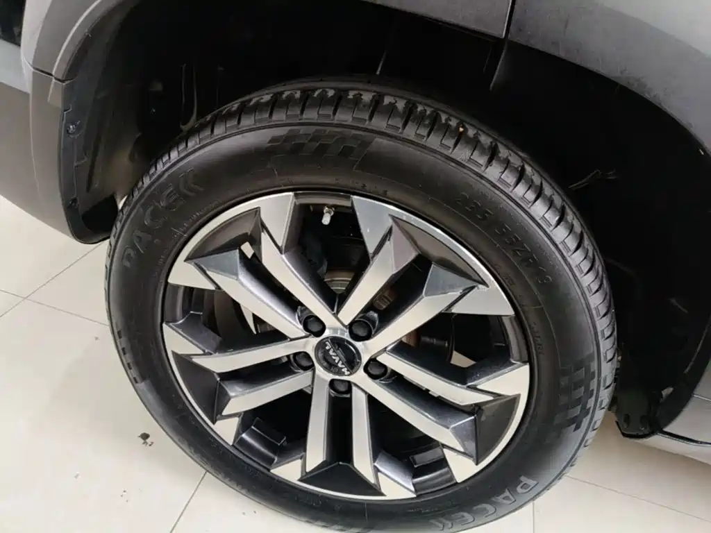 Haval Big Dog — фото 10