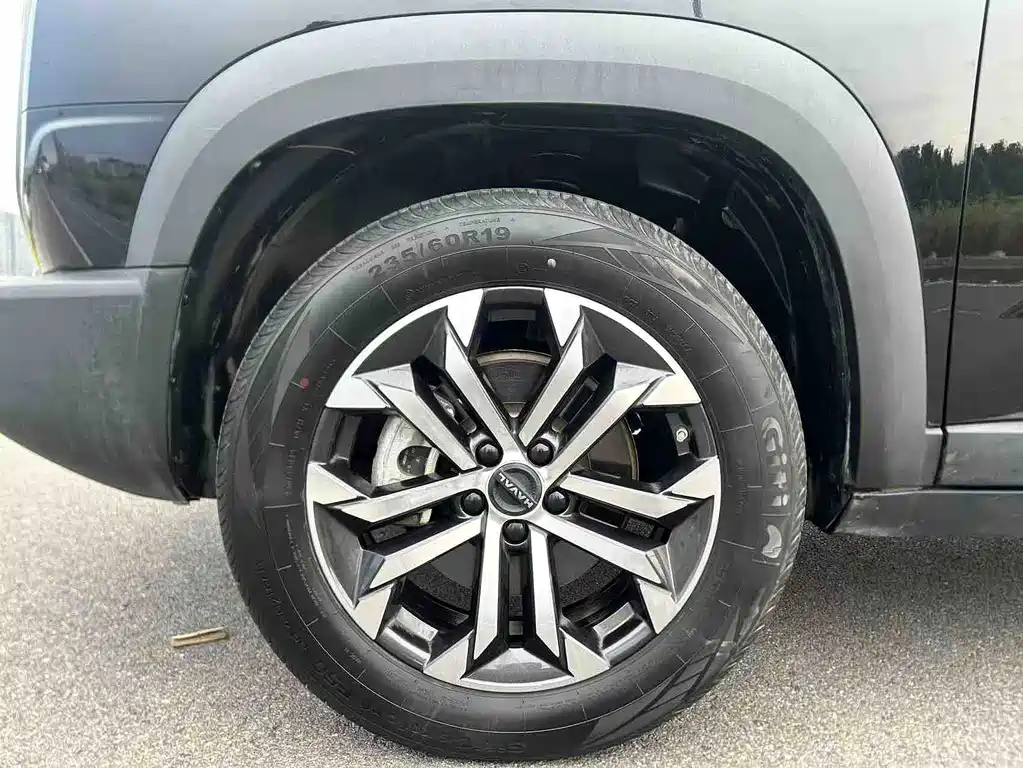 Haval Big Dog — фото 17