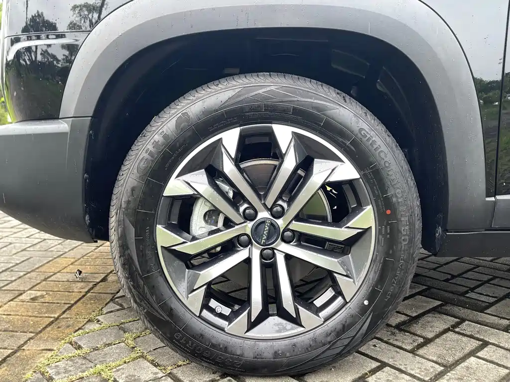 Haval Big Dog — фото 20