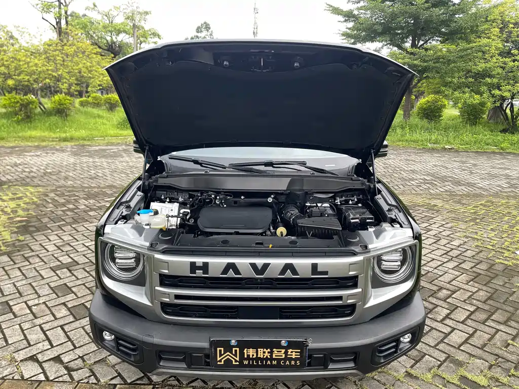 Haval Big Dog — фото 21