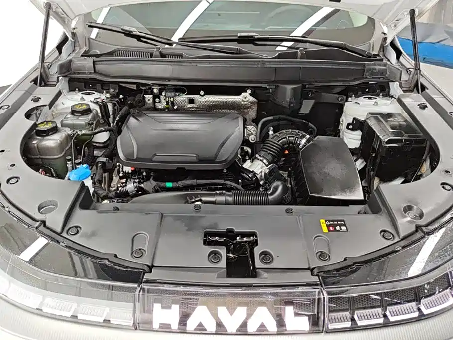 Haval Xiaolong MAX — фото 10