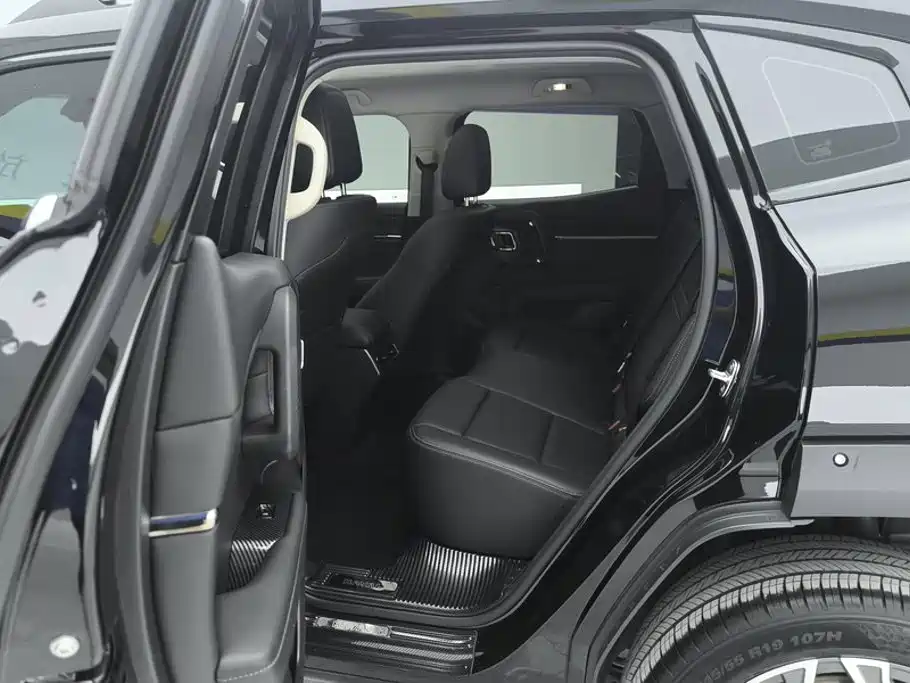 Haval Big Dog PLUS New Energy — фото 11