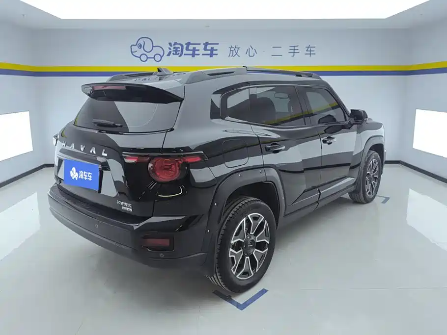 Haval Big Dog PLUS New Energy — фото 3