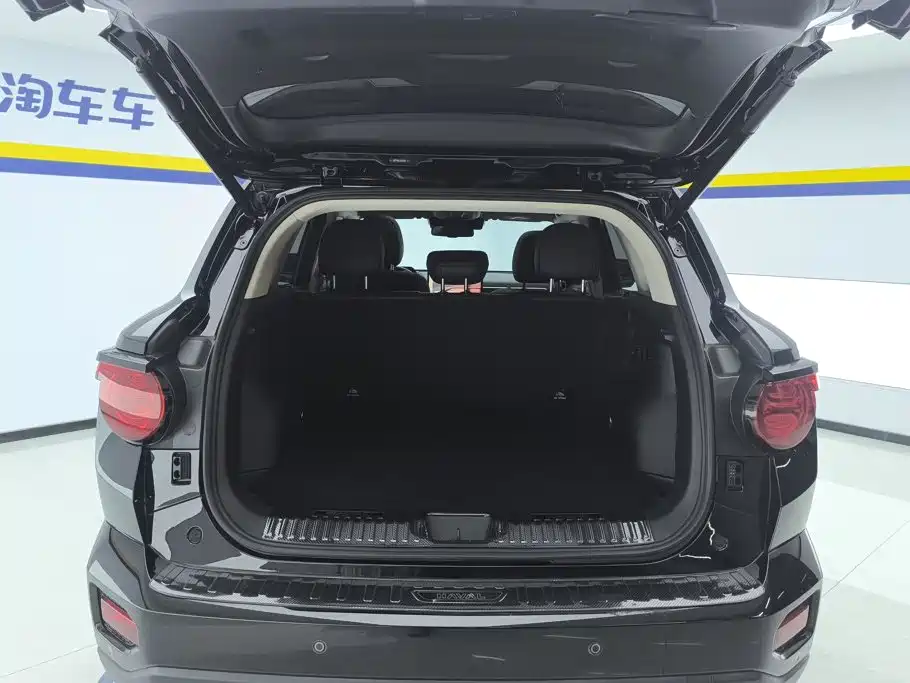 Haval Big Dog PLUS New Energy — фото 4