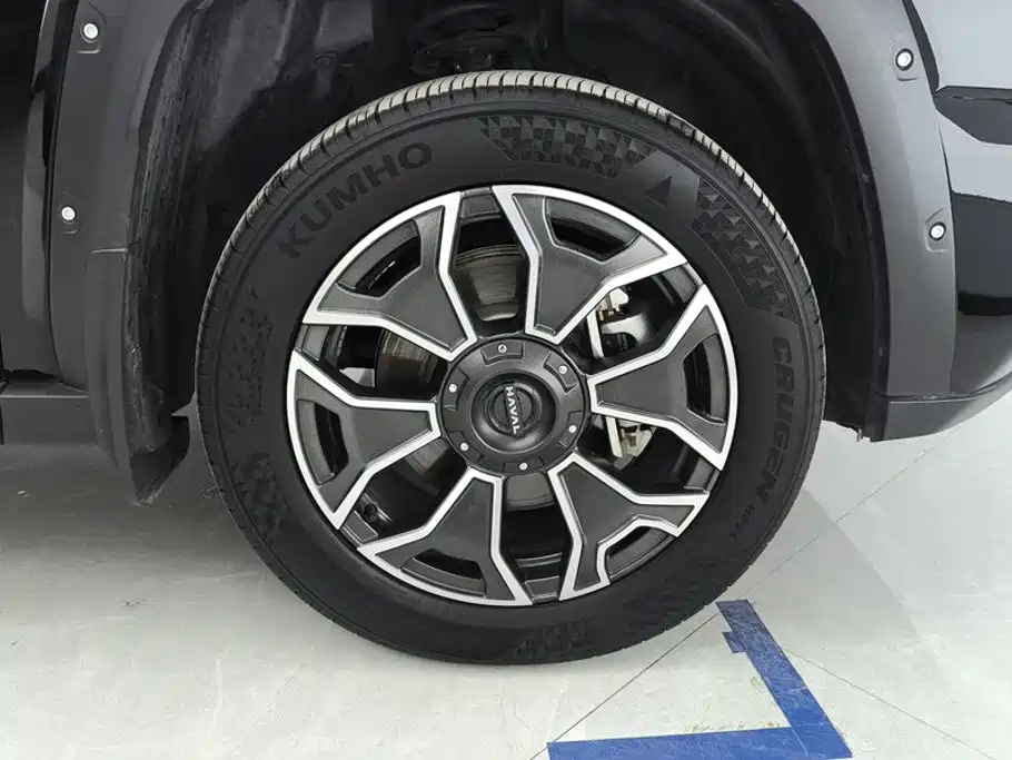 Haval Big Dog PLUS New Energy — фото 6