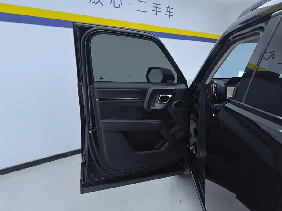 Haval Big Dog PLUS New Energy — фото 7