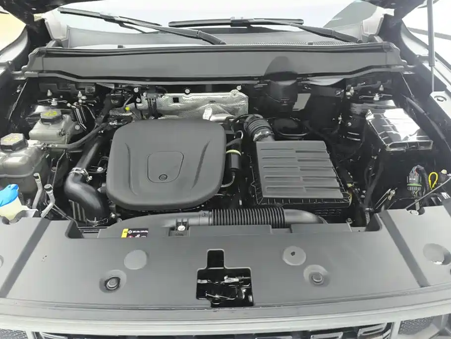 Haval Big Dog PLUS New Energy — фото 10