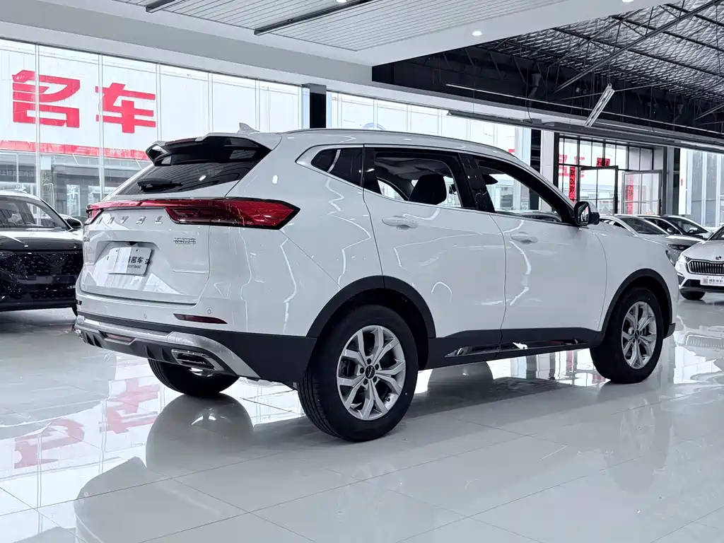 Haval H6 — фото 11