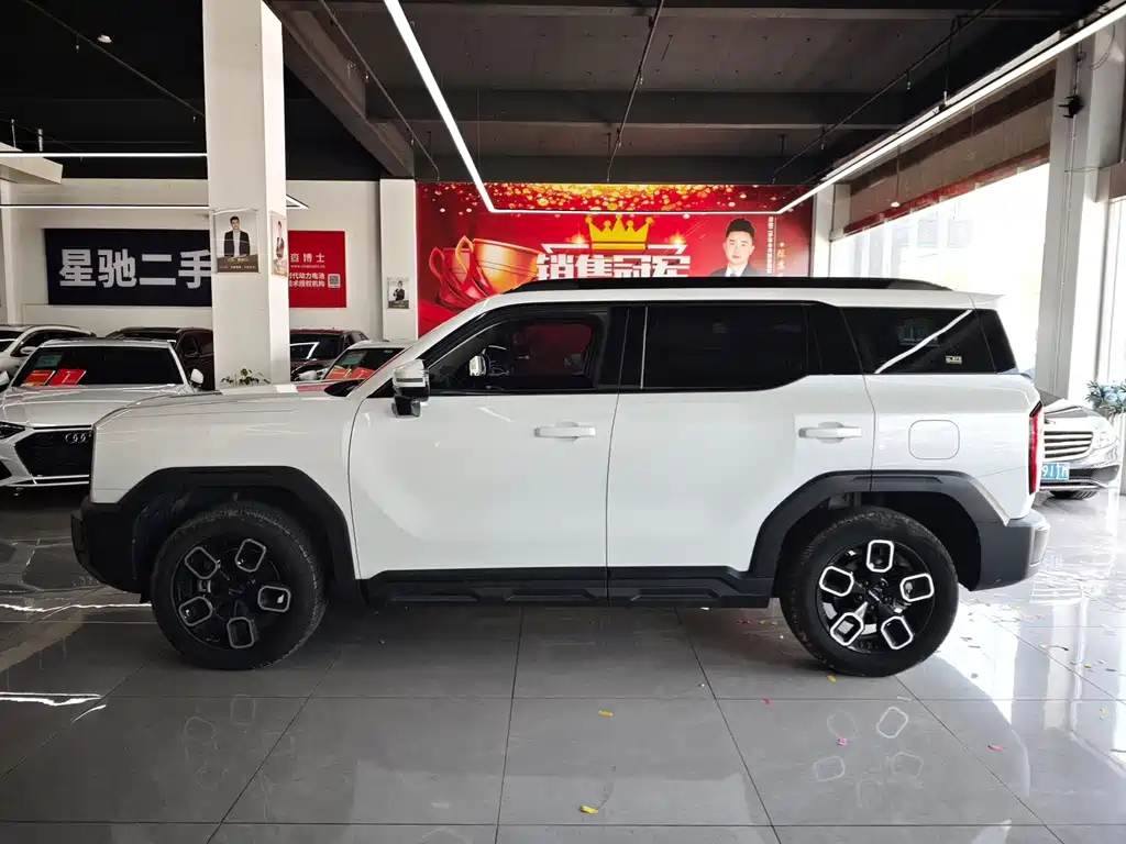 Haval Cool Dog — фото 4