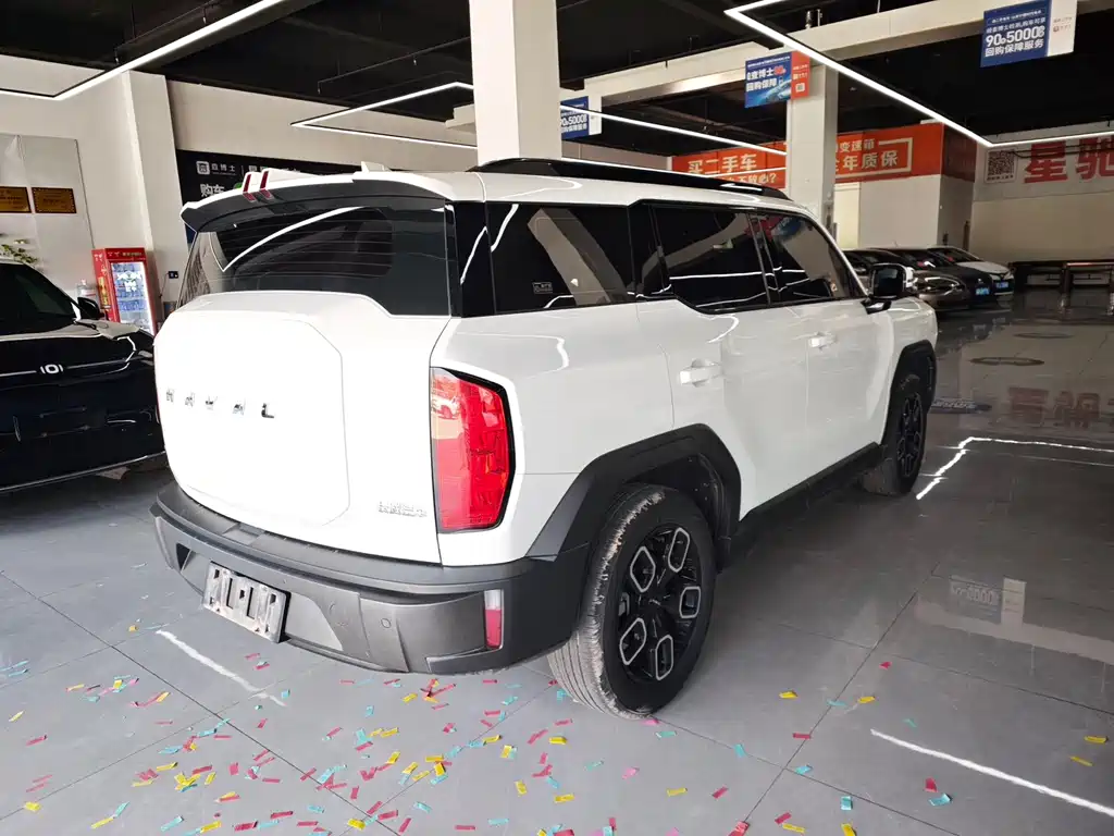 Haval Cool Dog — фото 7