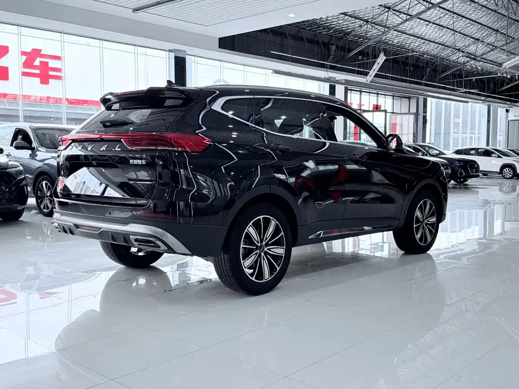 Haval H6 — фото 10