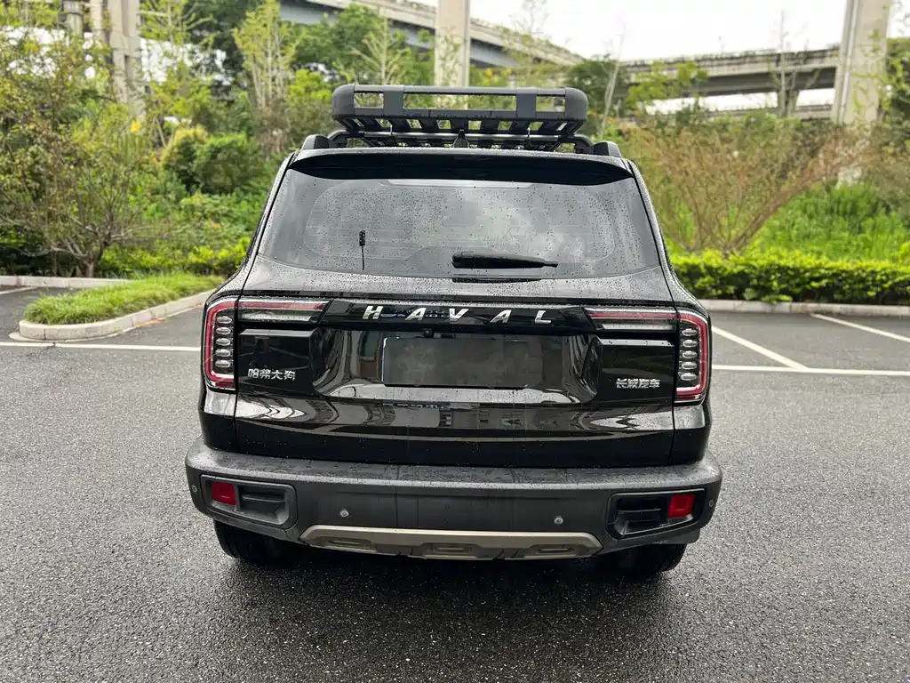Haval Big Dog — фото 6