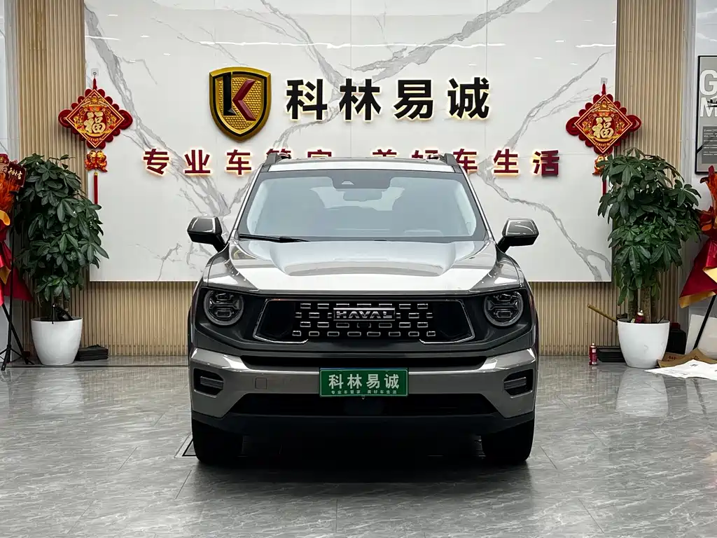 Haval Big Dog PLUS — фото 2