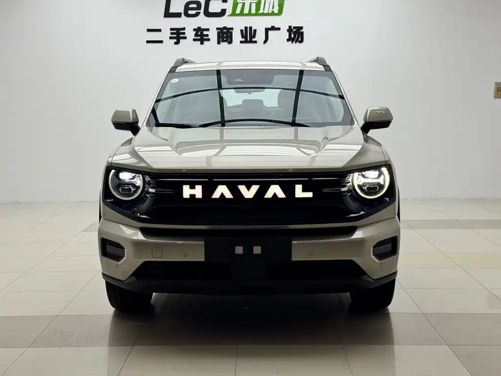 Haval Big Dog PLUS New Energy — фото 2