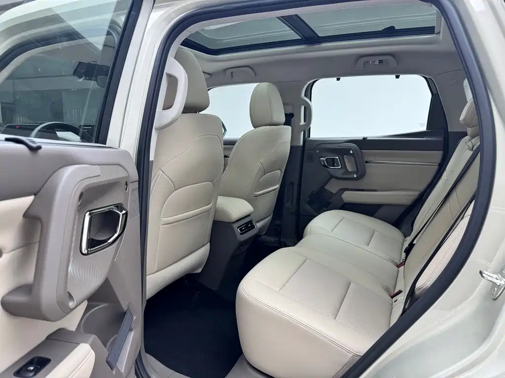 Haval Big Dog PLUS New Energy — фото 5