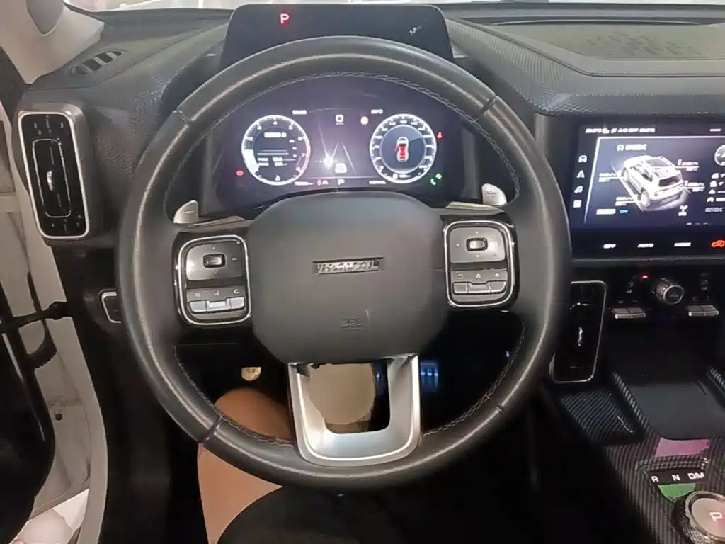 Haval Big Dog — фото 11